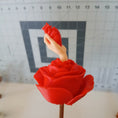 Load image into Gallery viewer, 3D Printed Rose of Life