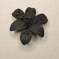 Load image into Gallery viewer, 3D Printed Forbidden Lily