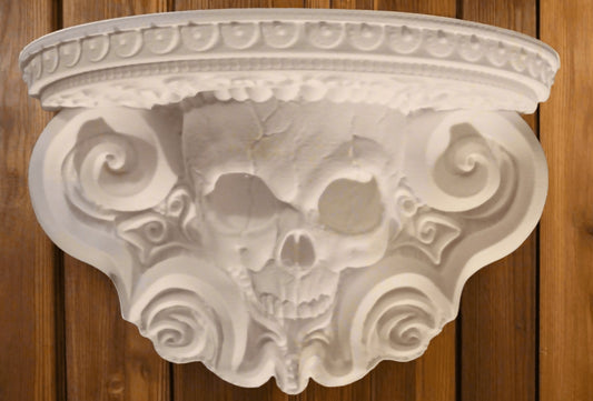 3D Printed Cranio Mini Shelf