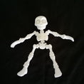 Load image into Gallery viewer, 3D Printed Articulated Dummy Skeleton