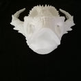 Load image into Gallery viewer, 3D Printed Skull Shape Planter with Horns