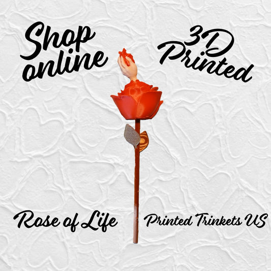 3D Printed Rose of Life