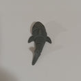 Load image into Gallery viewer, 3D Printed Articulating Shark Keychain
