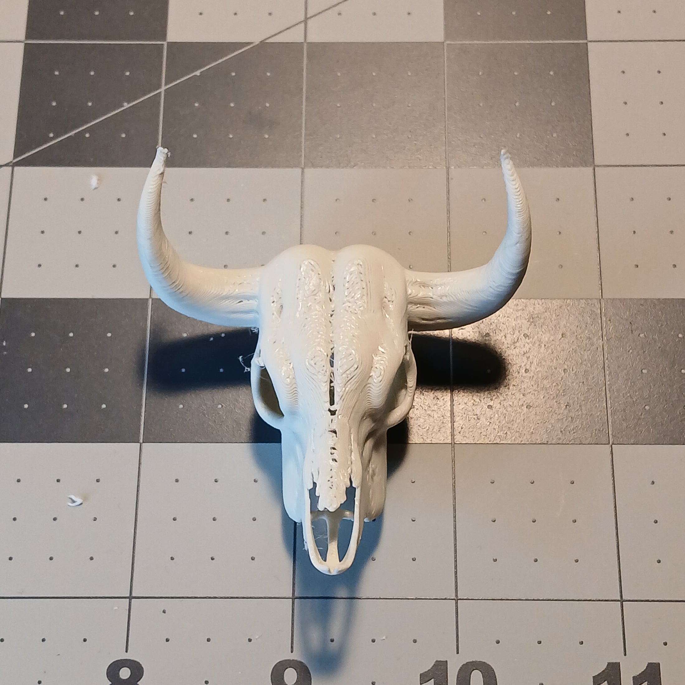 3D Printed Cow Skull