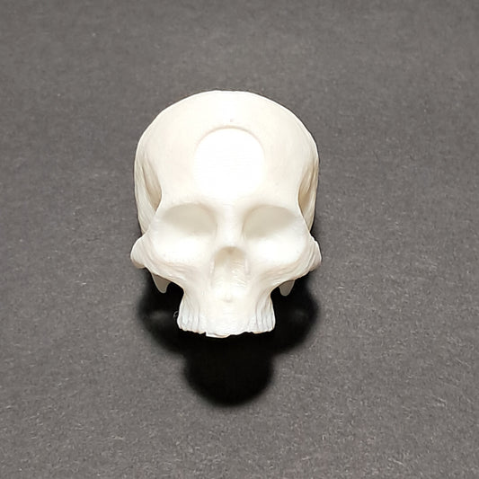 3D Printed Skeleton Key Keychain