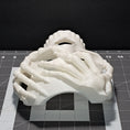 Load image into Gallery viewer, 3D Printed Skeleton Hands Skull Mask
