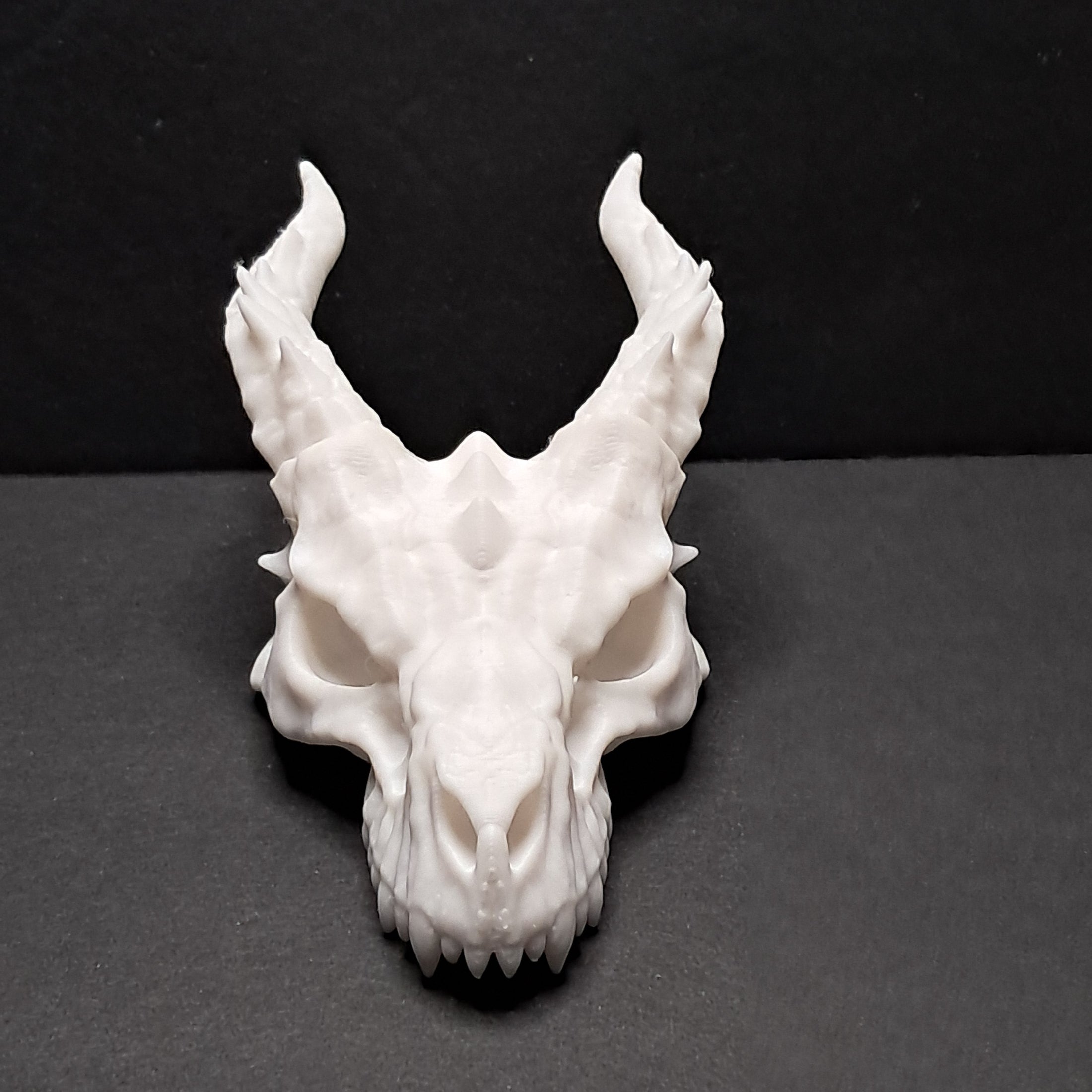 3D Printed Dragon Skull Decoration