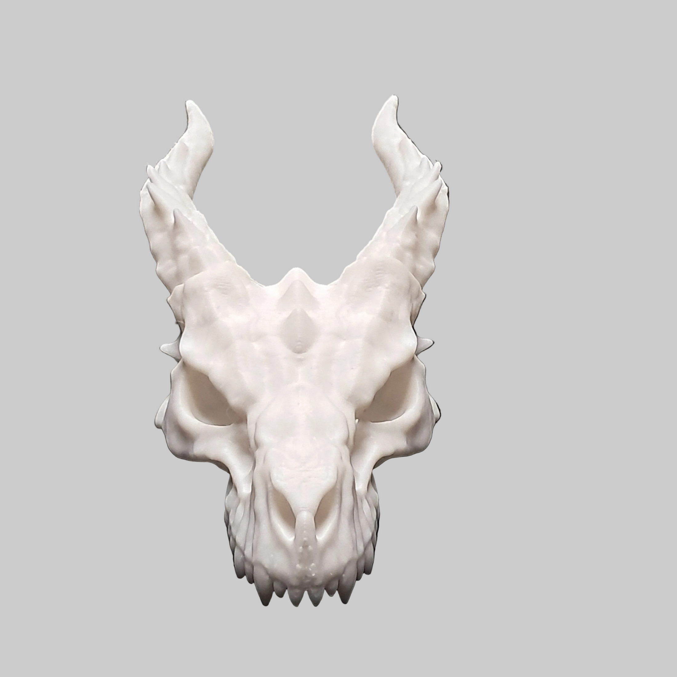 3D Printed Dragon Skull Decoration