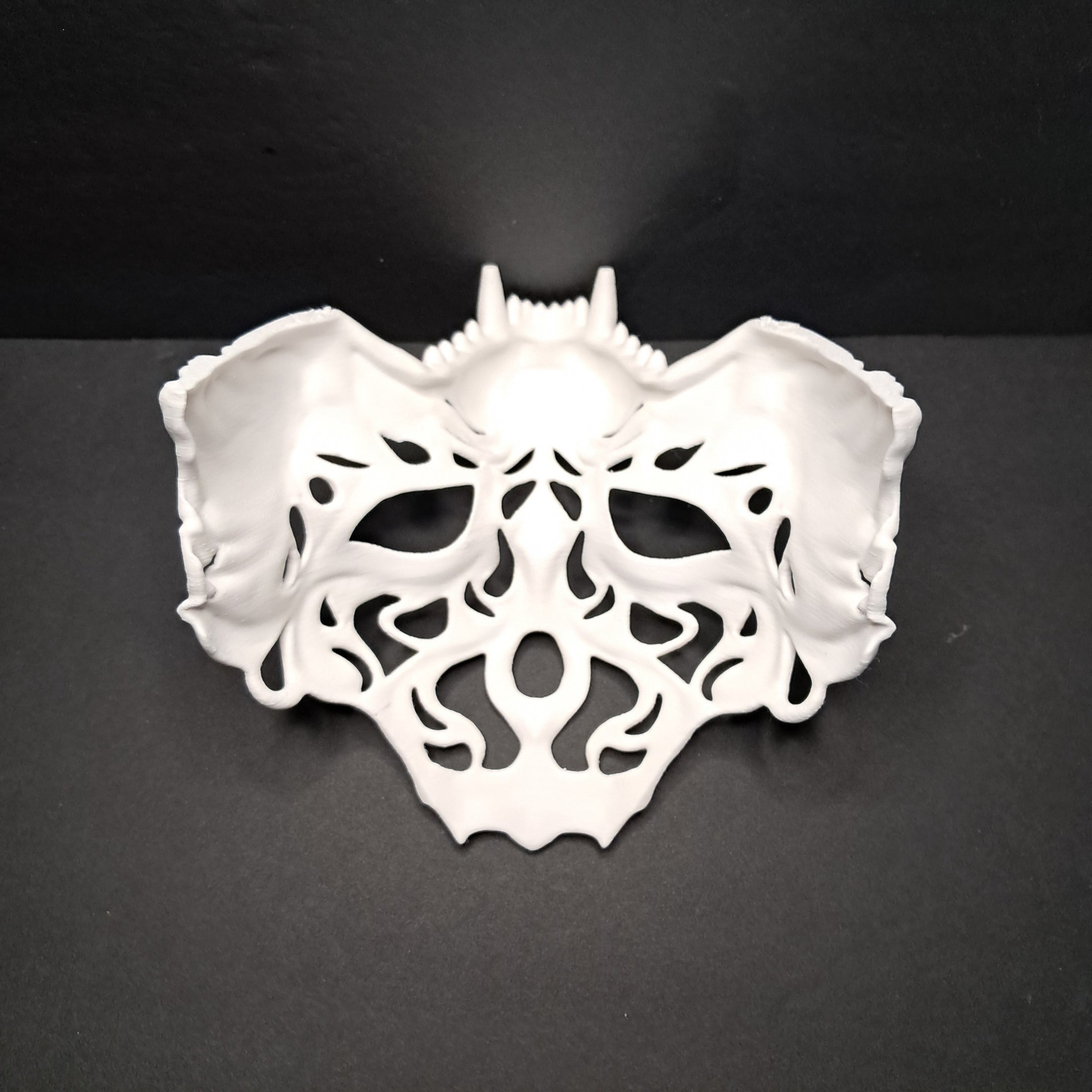 3D Printed Earless Wolf Mask