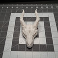Load image into Gallery viewer, 3D Printed Dragon Skull Decoration
