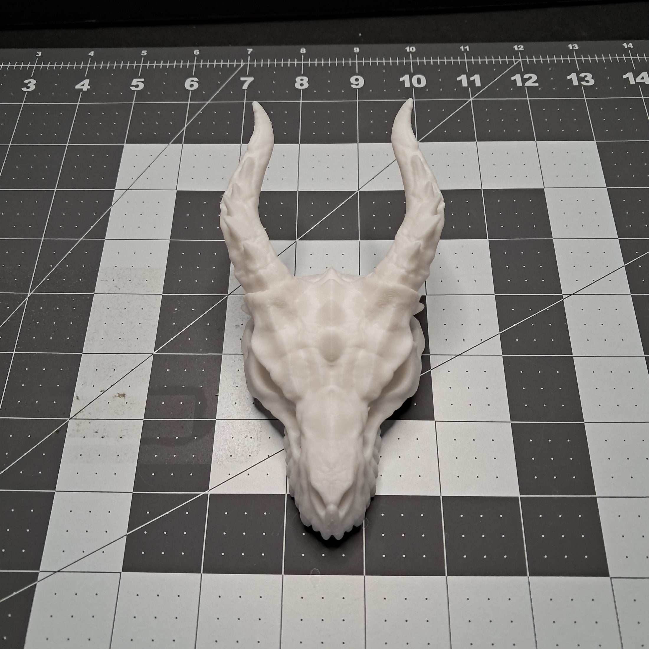 3D Printed Dragon Skull Decoration