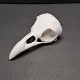 Load image into Gallery viewer, 3D Printed Raven Skull Shoulder Pauldron

