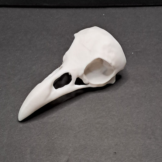 3D Printed Raven Skull Shoulder Pauldron
