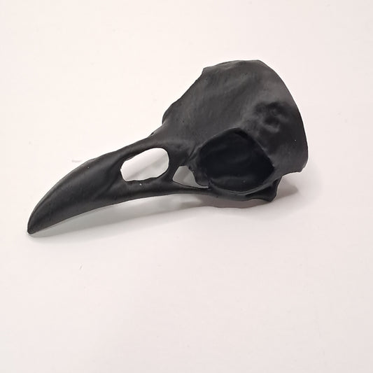 3D Printed Raven Skull Decoration