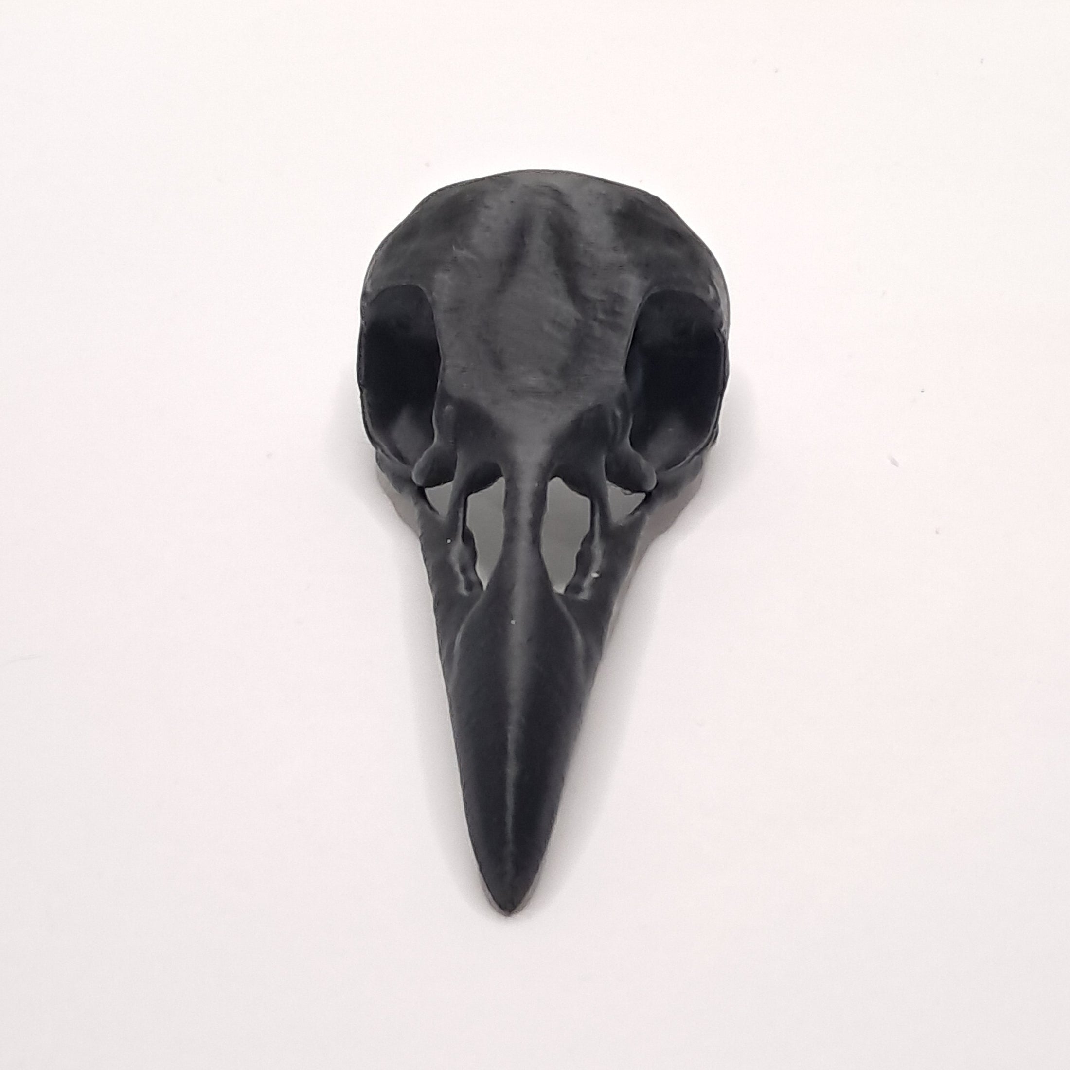 3D Printed Raven Skull Decoration