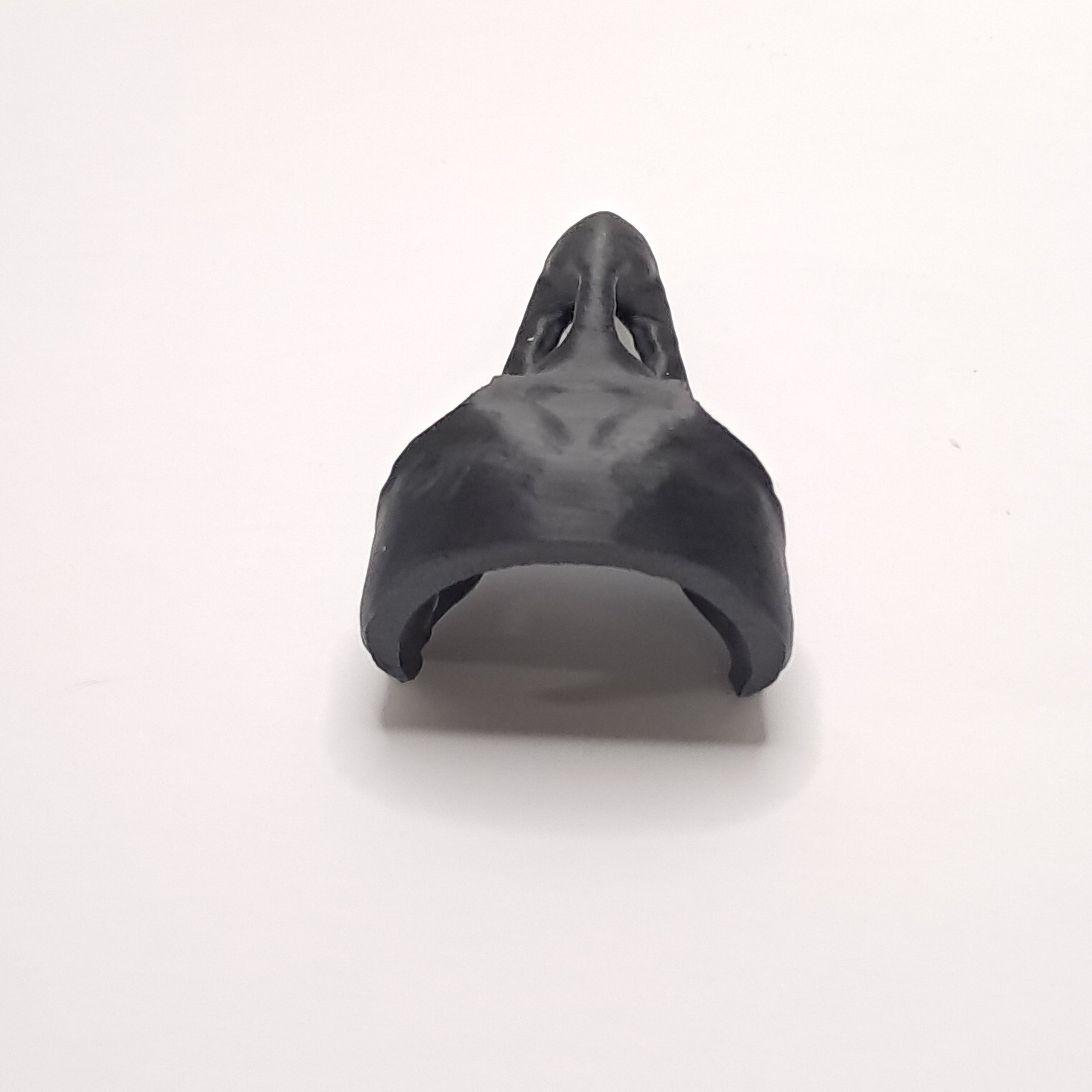 3D Printed Raven Skull Decoration