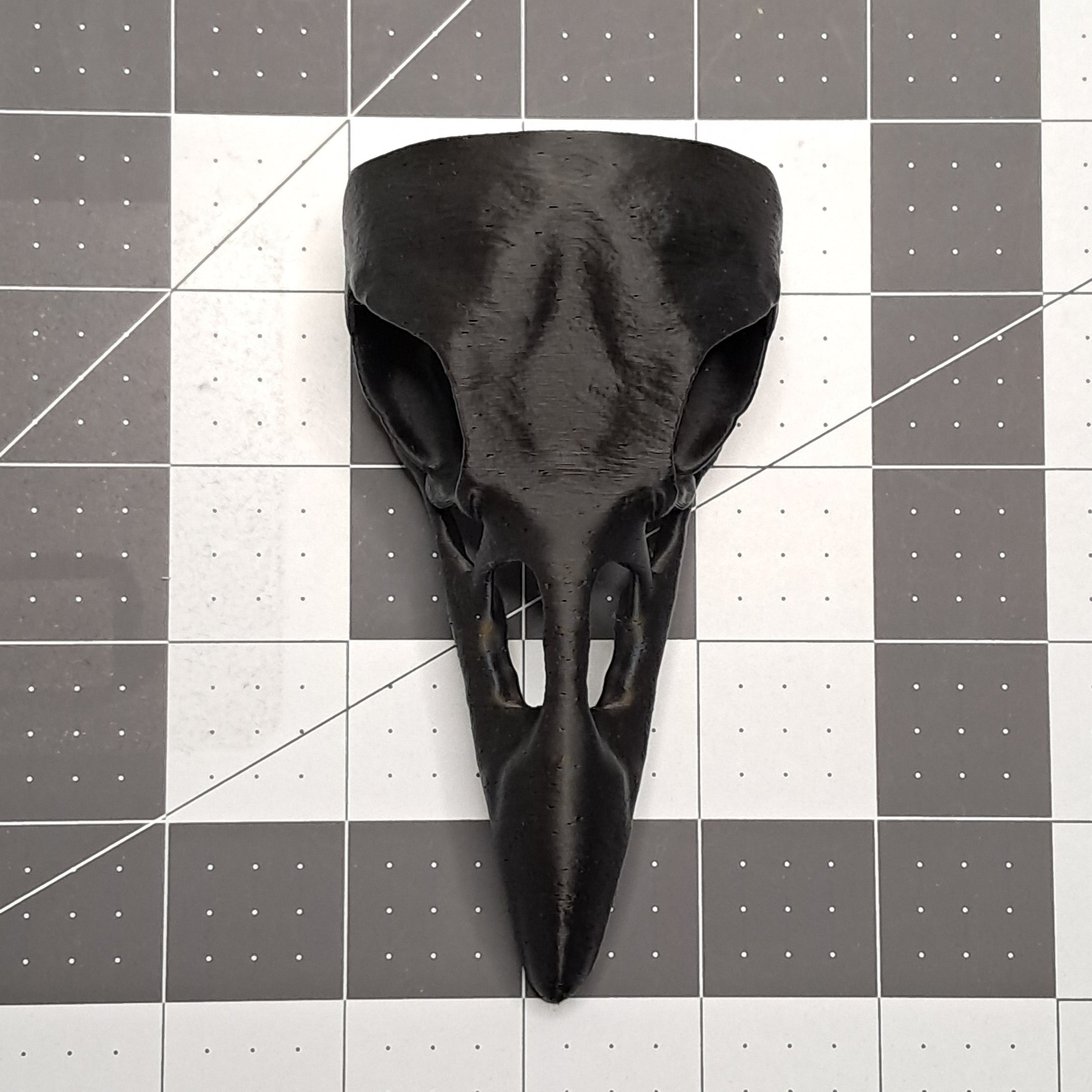 3D Printed Raven Skull Decoration
