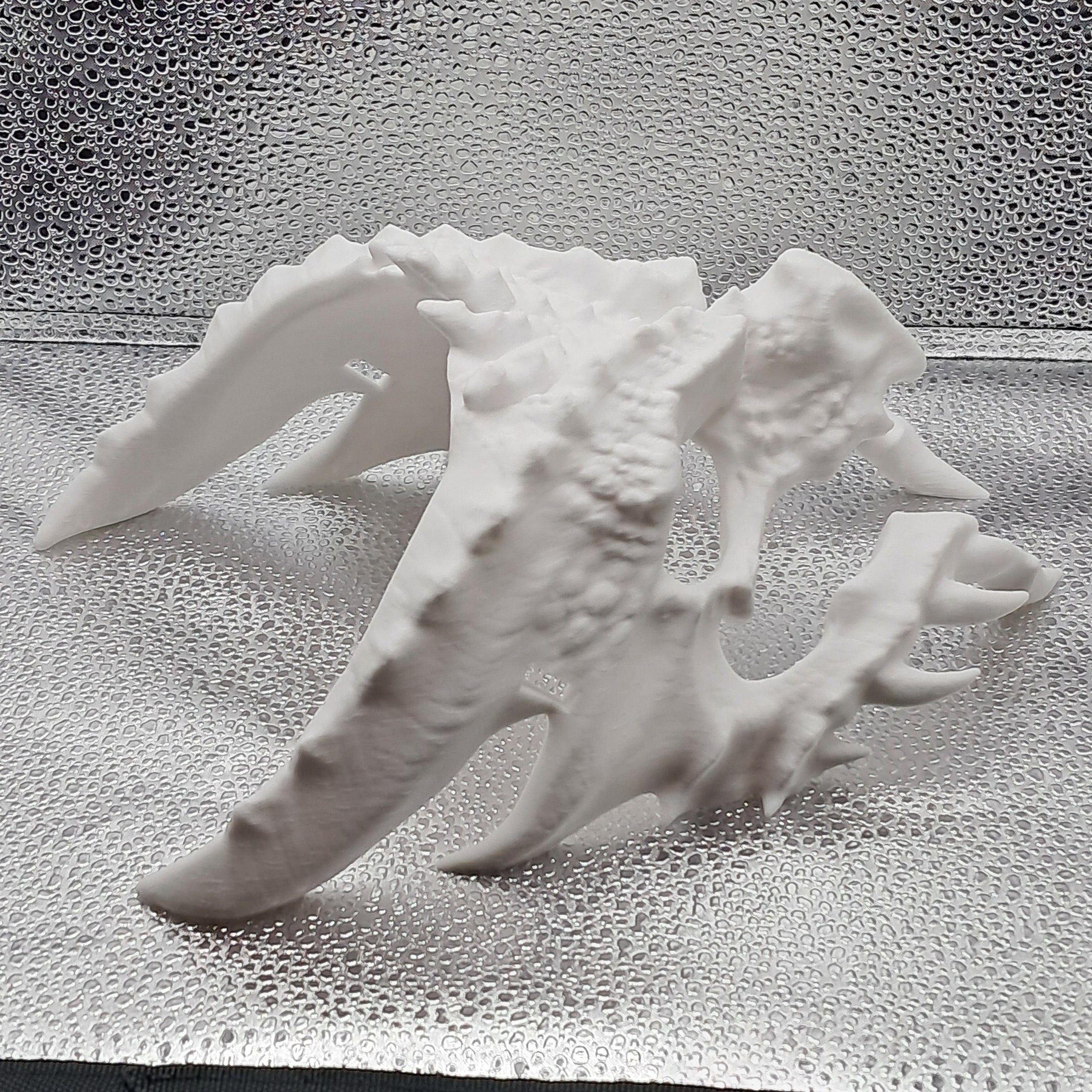 3D Printed Dragon Cultist Mask