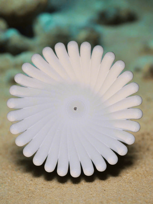 3D Printed Nemo Incense Burner