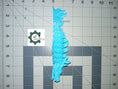 Load image into Gallery viewer, 3D Printed Articulated Koi Dragon
