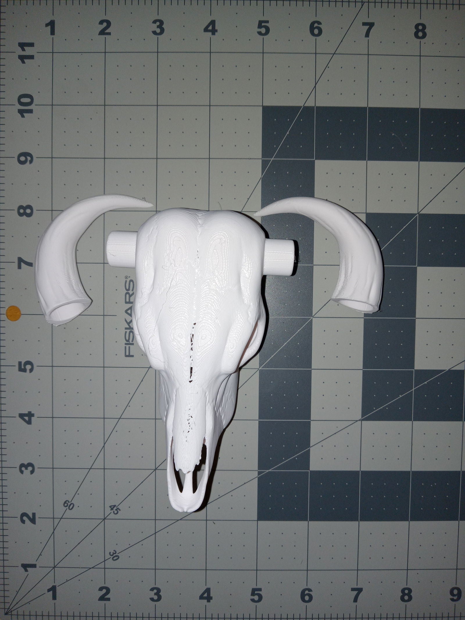 3D Printed Cow Skull