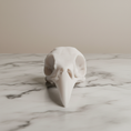 Load image into Gallery viewer, 3D Printed Raven Skull Decoration - White Variant Hero Image
