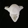 Load image into Gallery viewer, 3D Printed Skull Shape Planter with Horns
