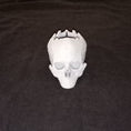 Load image into Gallery viewer, 3D Printed Skull Tealight Holder
