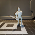 Load image into Gallery viewer, 3D Printed Articulated Posable Dummy Knight
